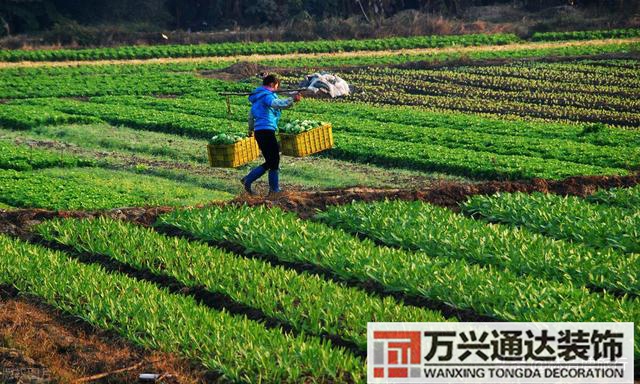 廣西賀州風水廣西賀州風水留題大地