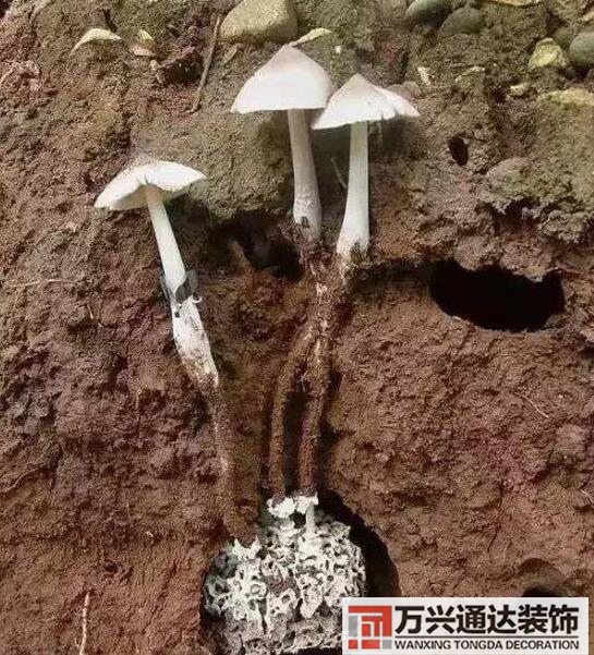 云南風水寶地云南風水寶地分享