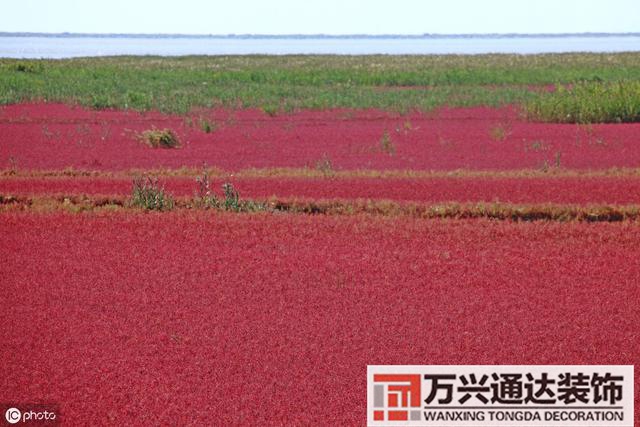 張學良風水張學良風水說