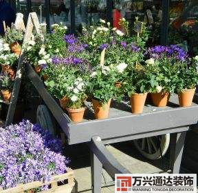 花店裝修效果圖精品花店裝修效果圖